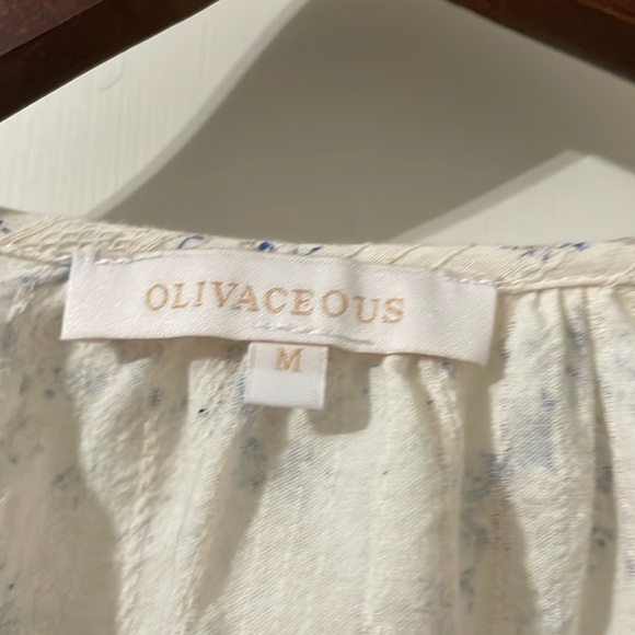 NWOT Olivaceous Puff Sleeve Blouse - Cream and Blue Floral Size M - Picture 4 of 7